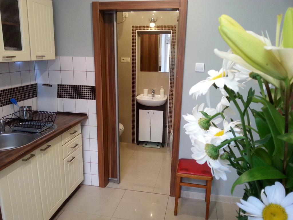 Apartment Old Cracow 克拉科夫 外观 照片